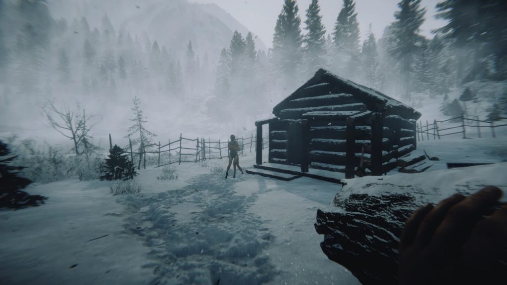 Sons of the Forest Steam'de Zirveye Oturdu Sons of the Forest