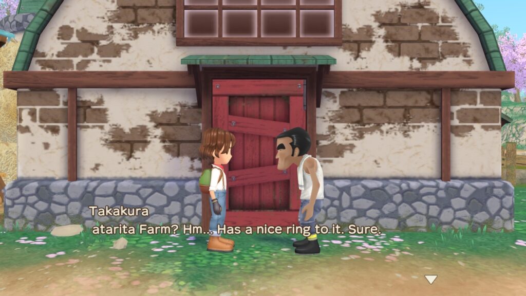 Story of Seasons: A Wonderful Life