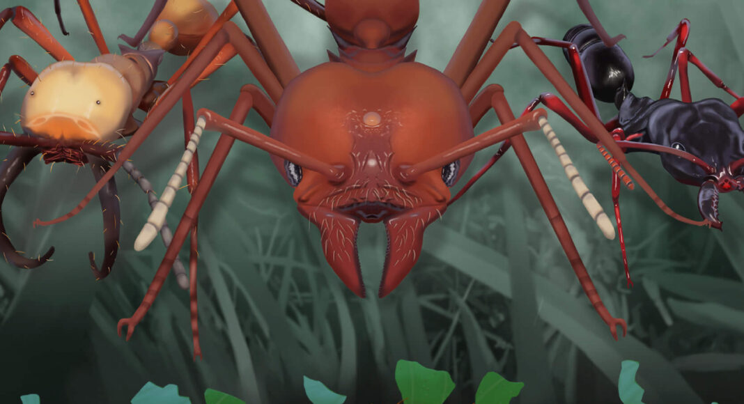 Empires of the Undergrowth