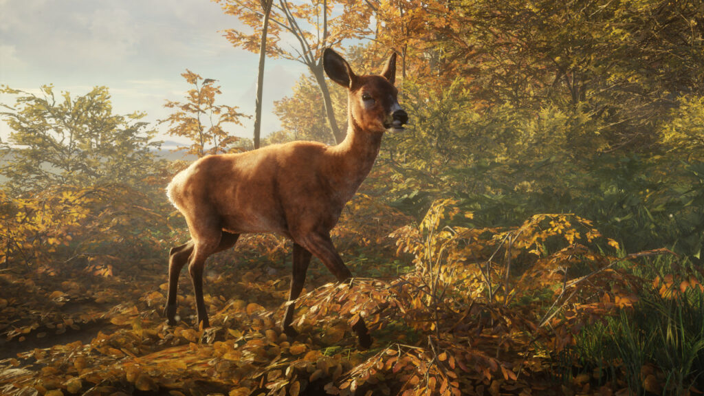 theHunter: Call of the Wild