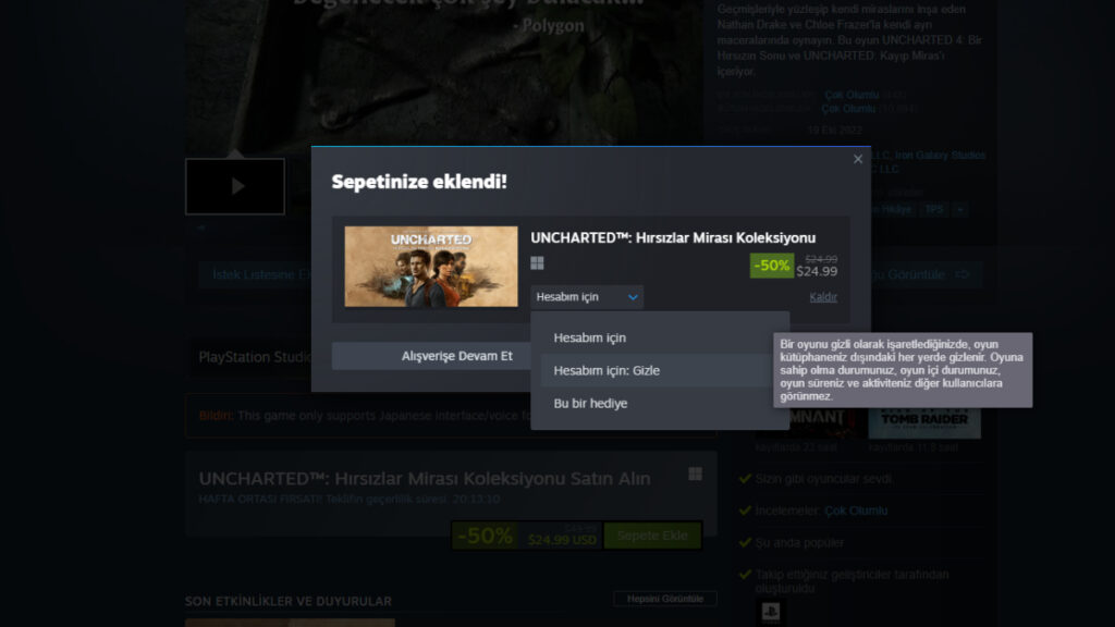 Steam Yeni Satın Alım Ekranı