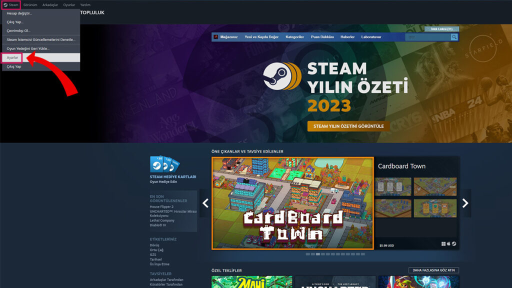 Steam Beta İstemcisi nasıl aktive edilir?