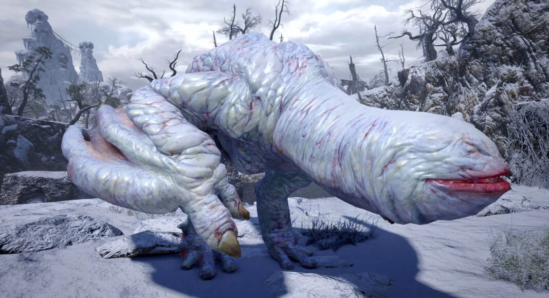 Monster Hunter Khezu artık bir örümceğin ismi!