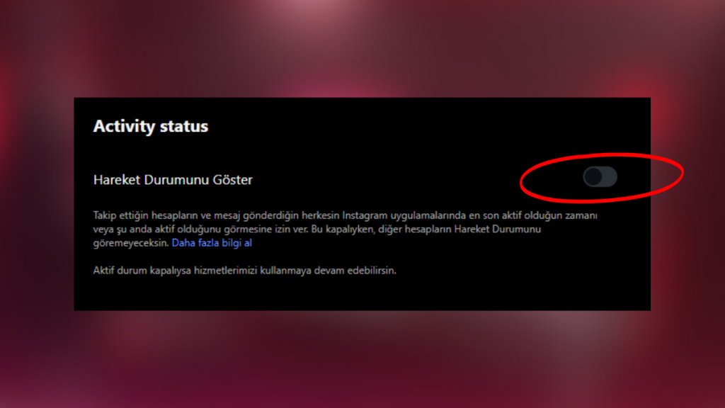 Instagram aktiflik kapatma nasıl yapılır?