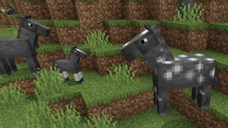 Minecraft at ve tay